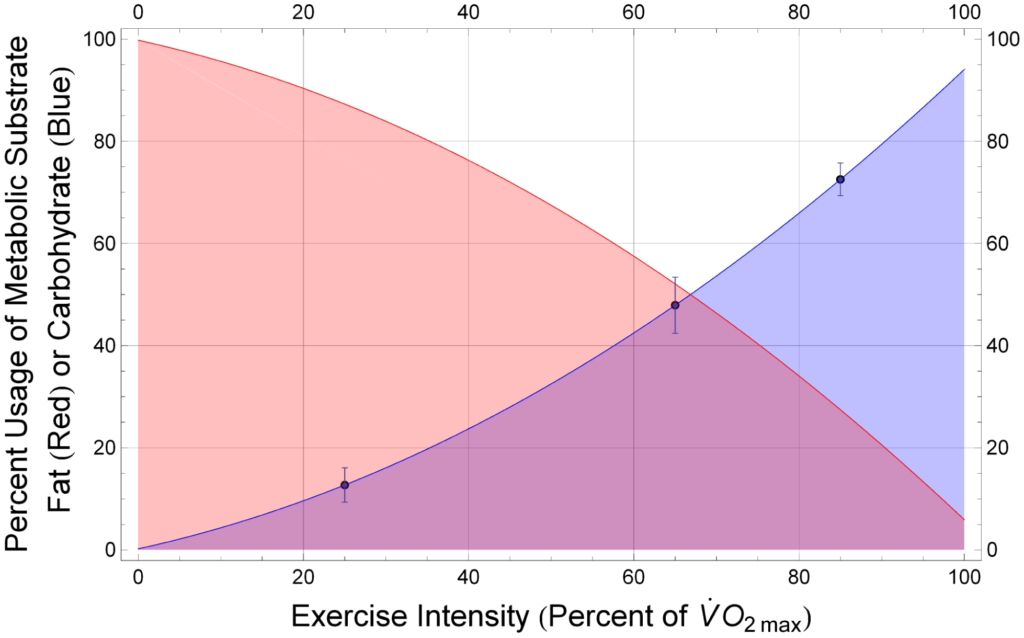 Verbrauch von Kohlenhydraten und Fetten in Abhängigkeit von VO2max
